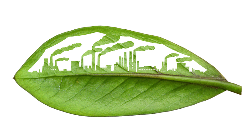 Leaf with industry