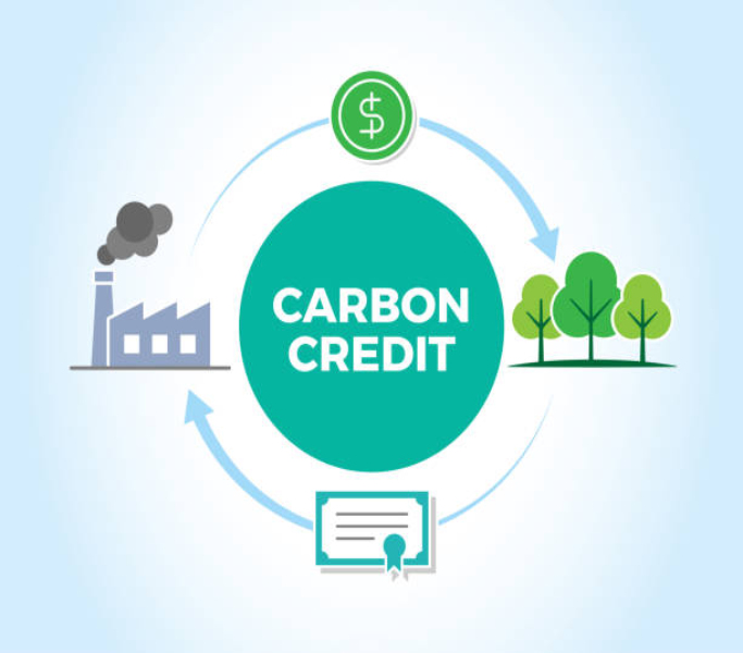 carbon credit