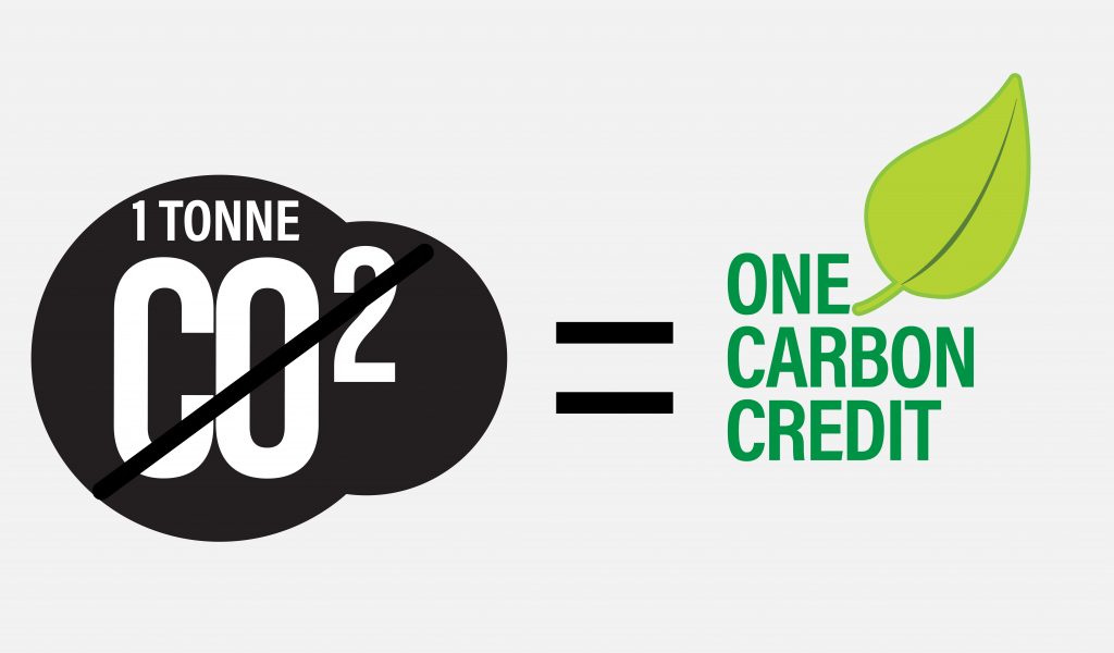 one carbon credit